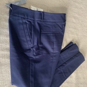 Loft Skinny Pants